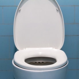 Modern toilet bowl near color wall